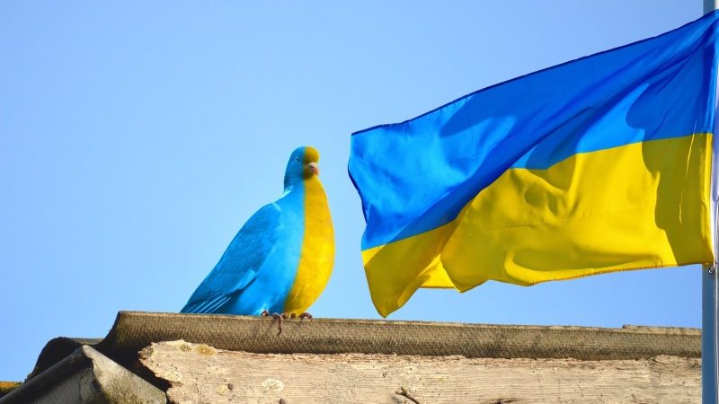 Suche nach Wendepunkt im Ukrainekrieg